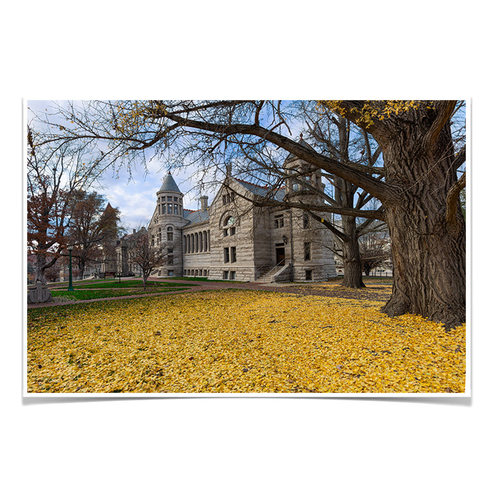 Indiana Hoosiers - Fall Setting - College Wall Art #Canvas 