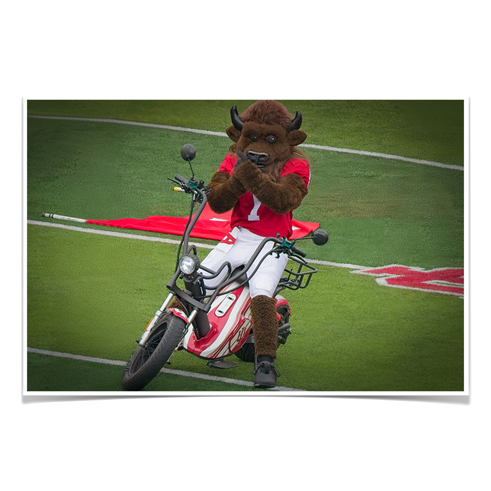 Indiana Hoosiers - Hoosier the Bison Easy Rider - College Wall Art #Canvas
