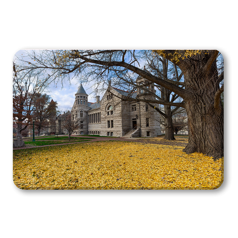 Indiana Hoosiers - Fall Setting - College Wall Art #Canvas 