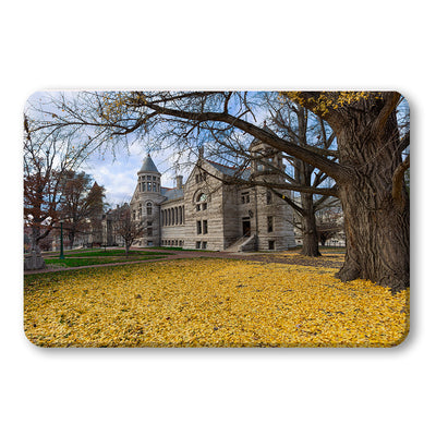 Indiana Hoosiers - Fall Setting - College Wall Art #PVC