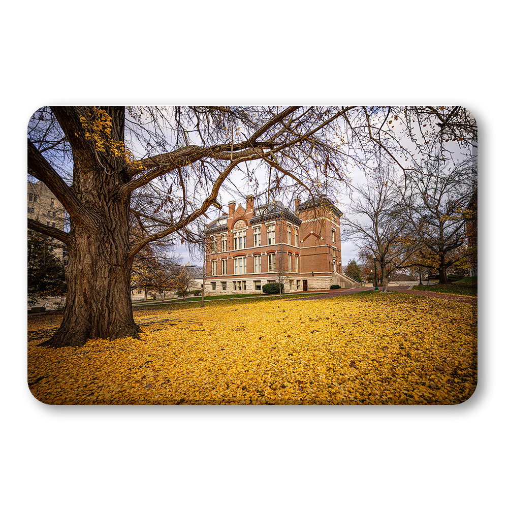 Indiana Hoosiers - Owen Hall - College Wall Art #Canvas