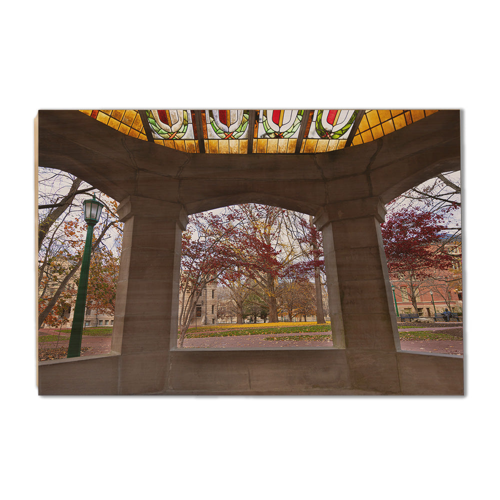 Indiana Hoosiers - Indiana Autumn Framed - College Wall Art #Canvas