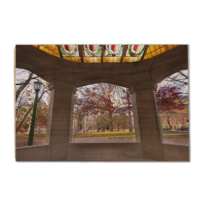 Indiana Hoosiers - Indiana Autumn Framed - College Wall Art #Wood