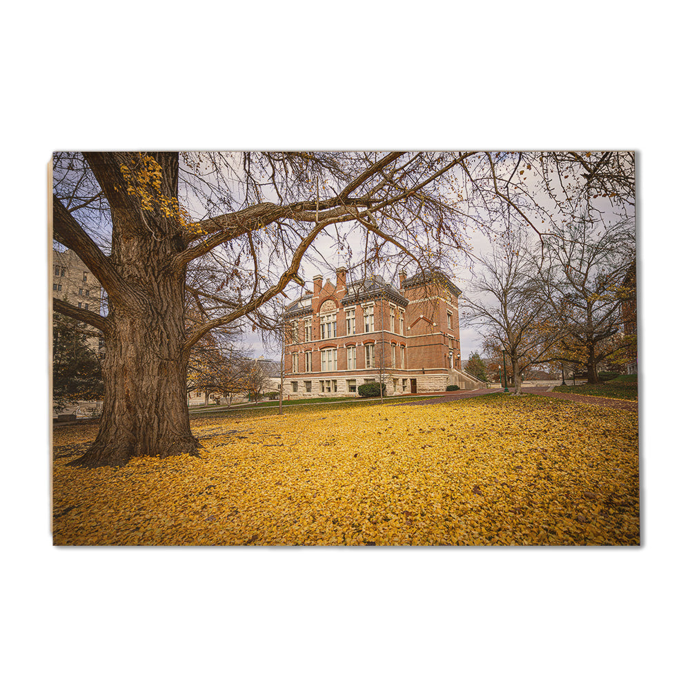 Indiana Hoosiers - Owen Hall - College Wall Art #Canvas
