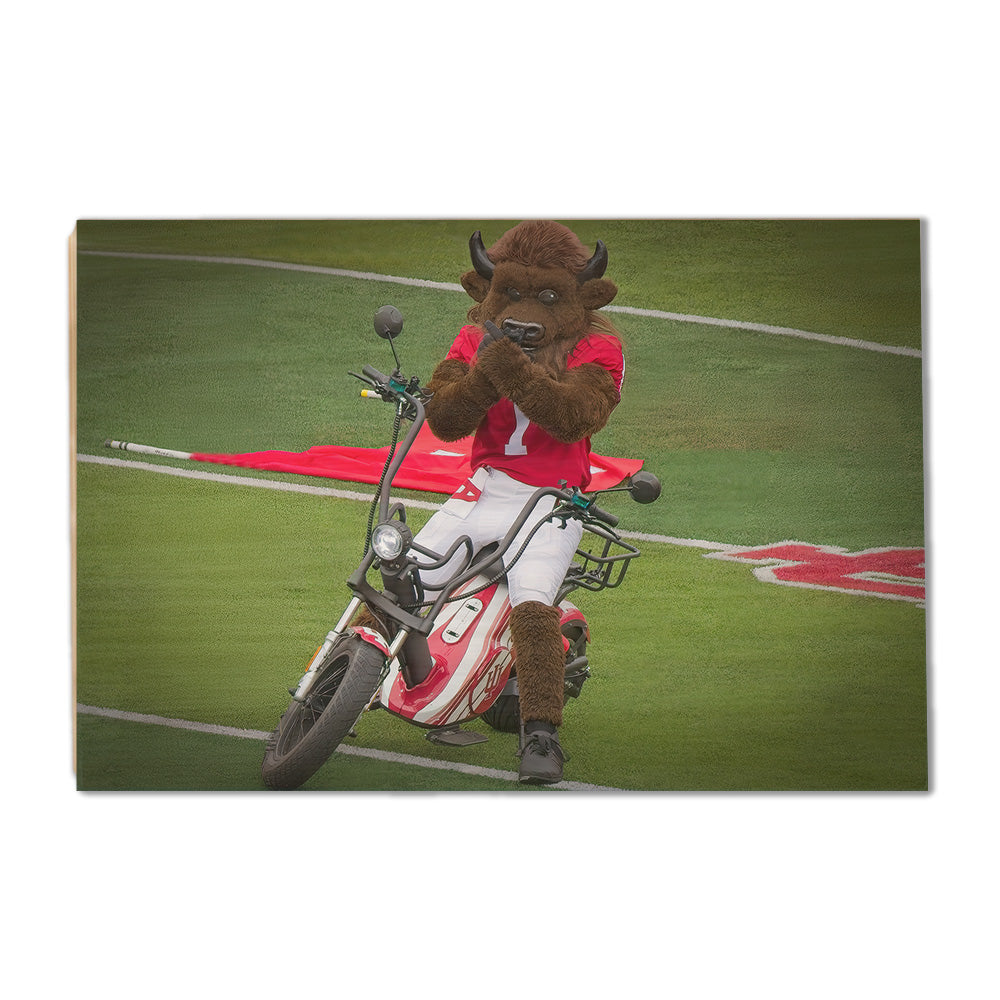 Indiana Hoosiers - Hoosier the Bison Easy Rider - College Wall Art #Canvas
