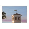 LSU Tigers - Graham Tiger Tower - College Wall Art #Wood