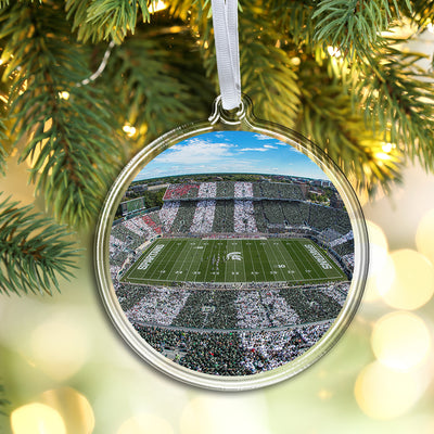 Michigan State Spartans - Fisheye Stripe Out Ornament & Bag Tag