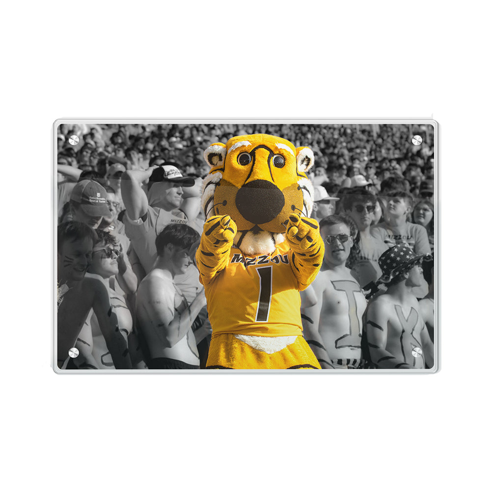 Missouri Tigers - Truman - College Wall Art #Canvas