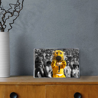 Missouri Tigers - Truman - College Wall Art #Acrylic Mini