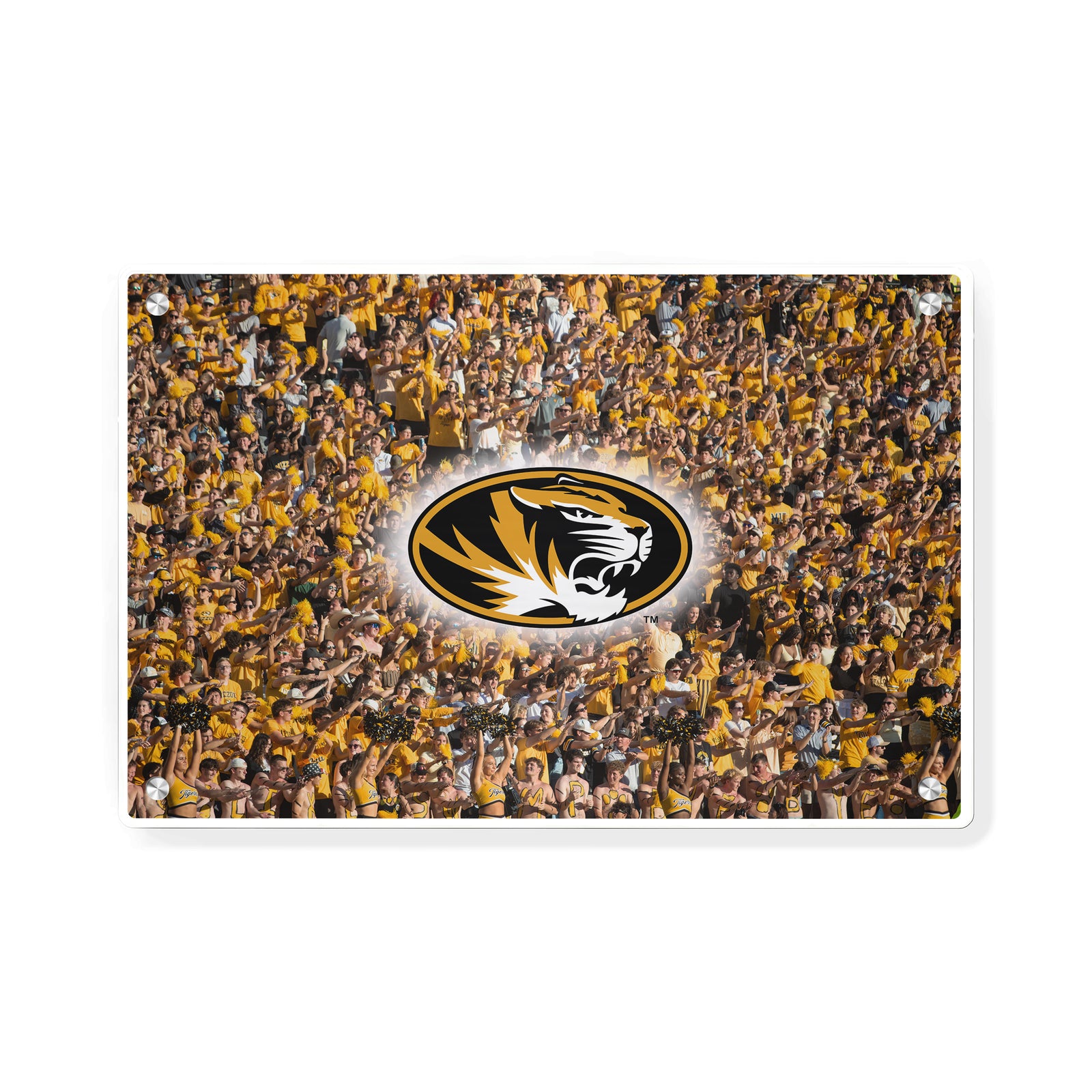 Missouri Tigers - Missouri Tigers - College Wall Art #Canvas