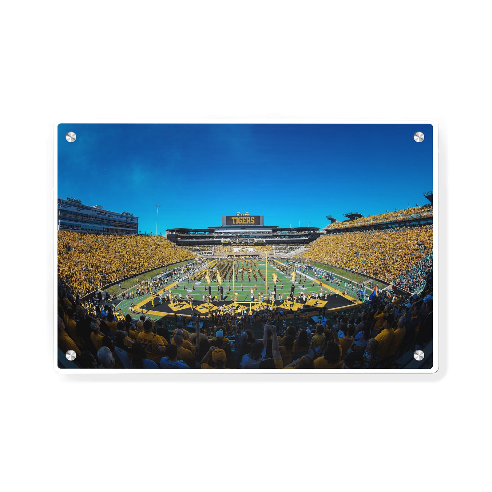 Missouri Tigers - Tigers - College Wall Art #Canvas