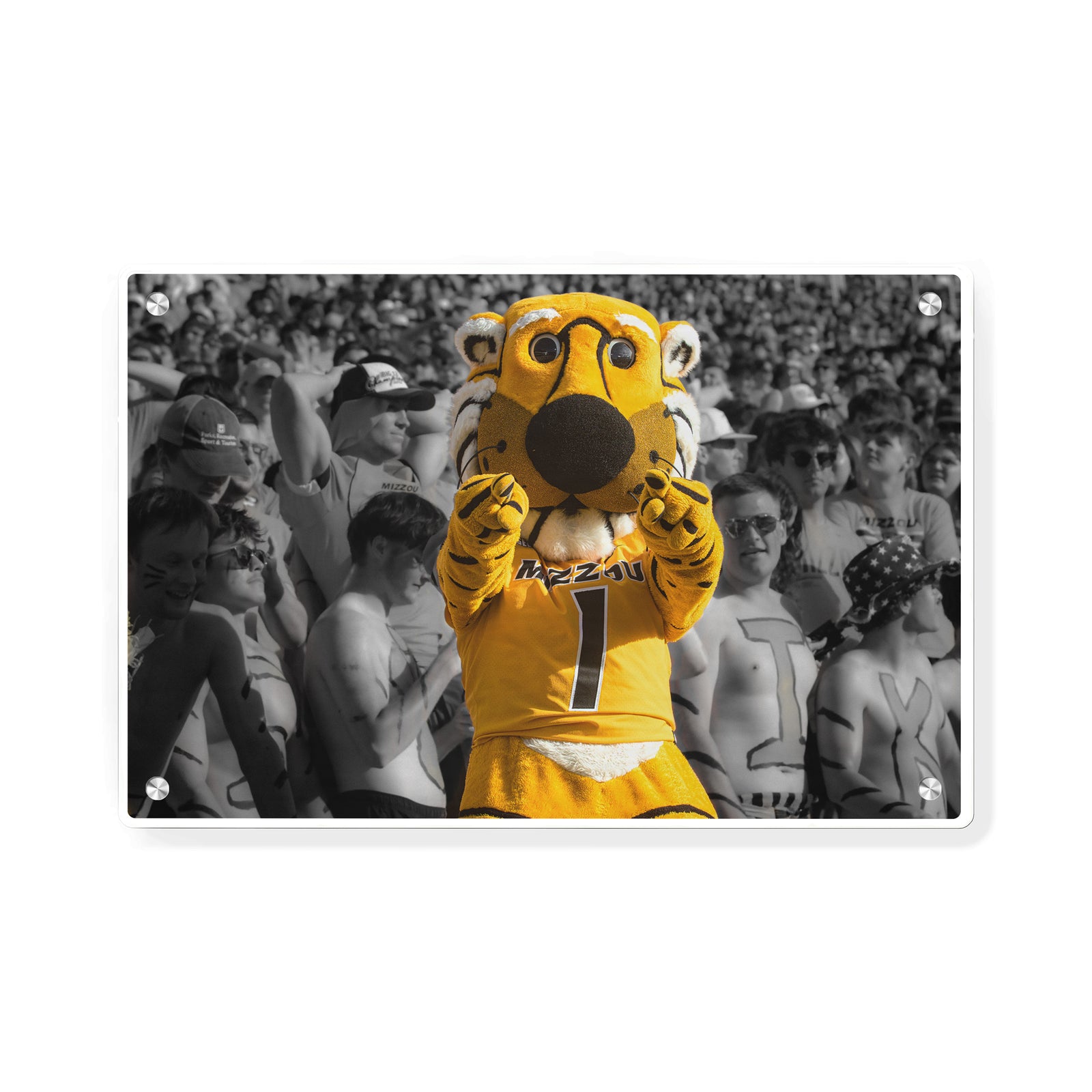 Missouri Tigers - Truman - College Wall Art #Canvas