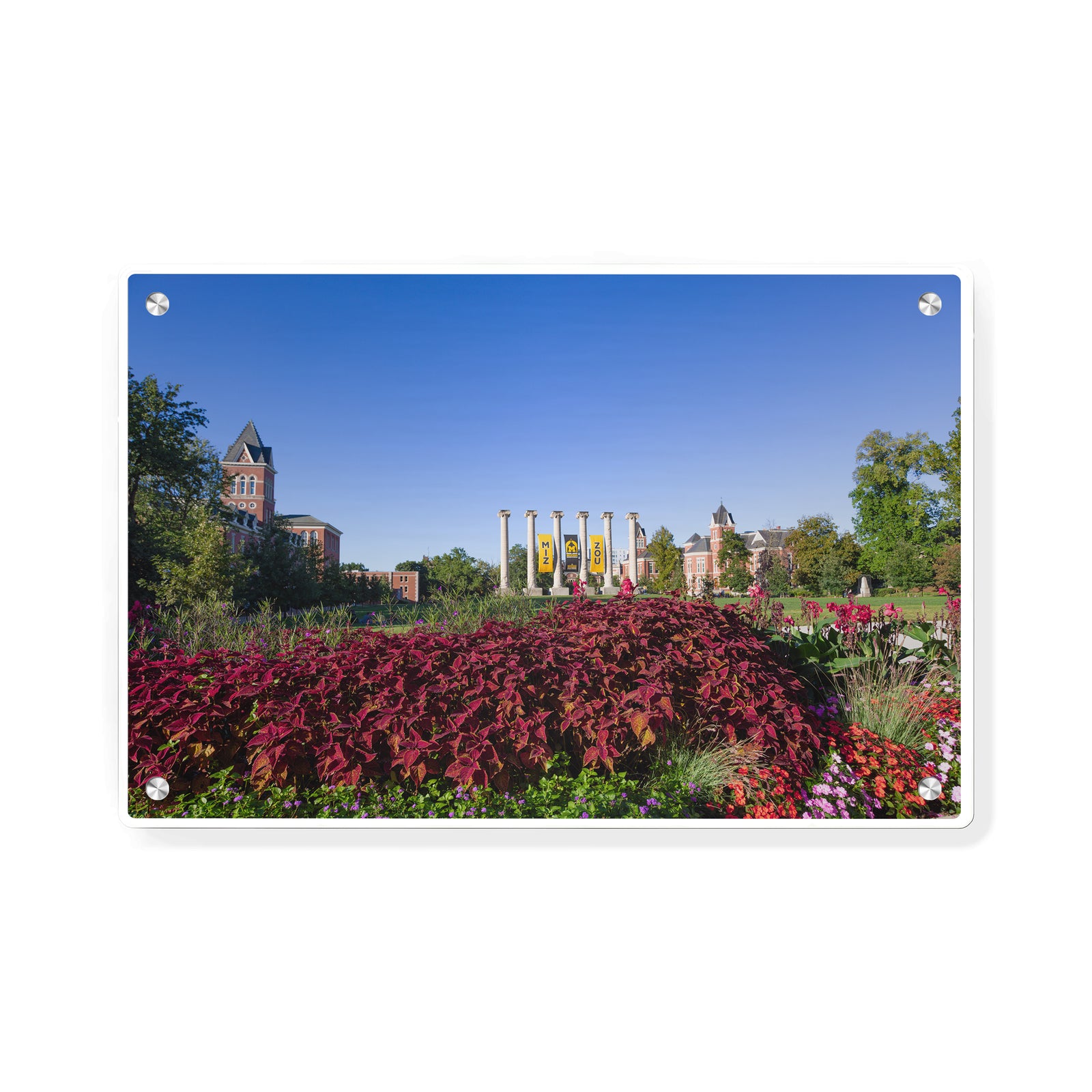 Missouri Tigers - Campus Beauty - College Wall Art #Canvas