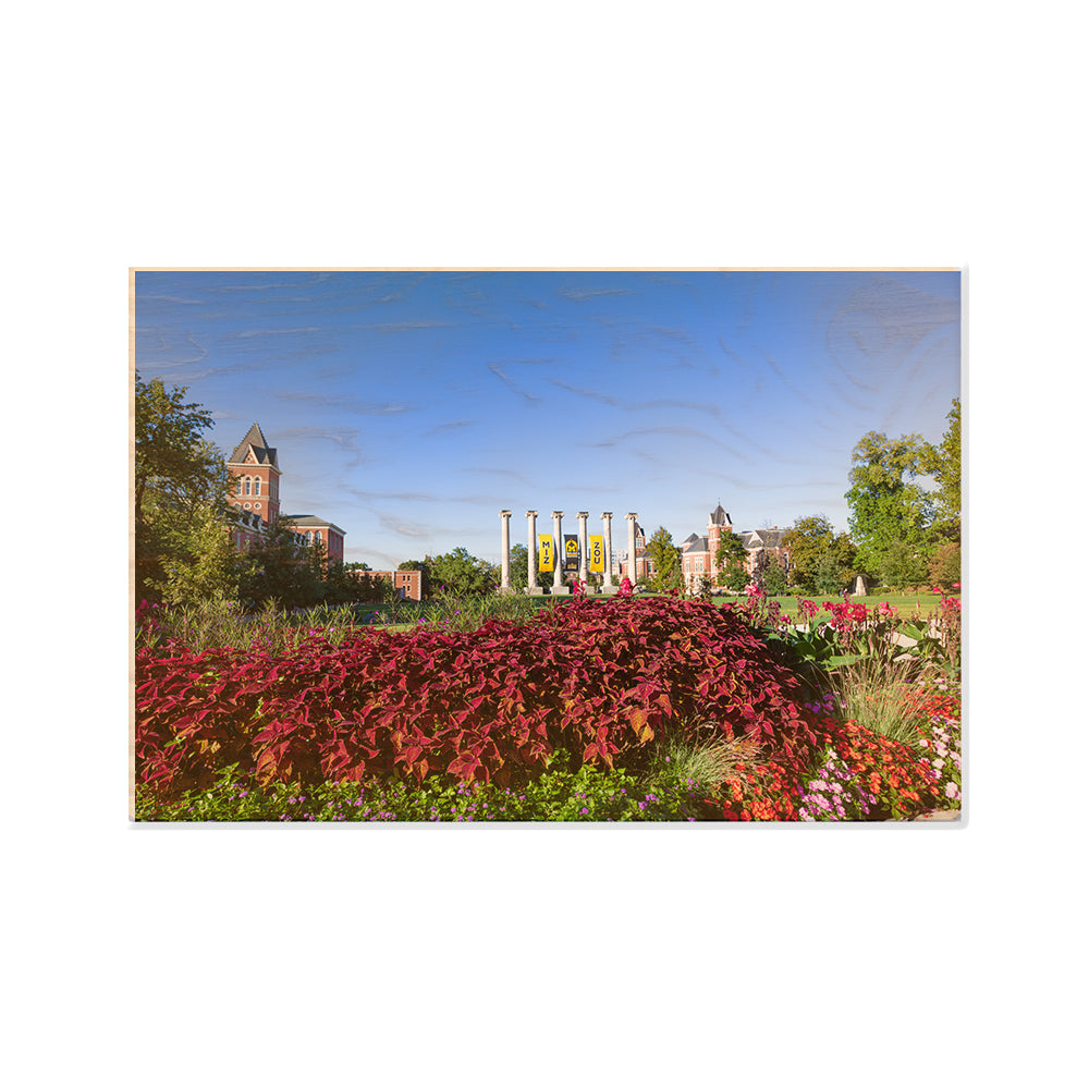 Missouri Tigers - Campus Beauty - College Wall Art #Canvas
