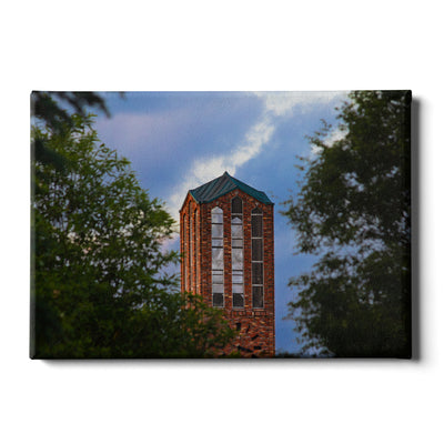 Mississippi State Bulldogs - We Ring True - College Wall Art #Canvas