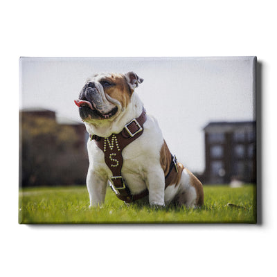 Mississippi State Bulldogs - Bully XXII Day - College Wall Art #Canvas