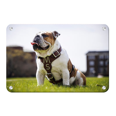 Mississippi State Bulldogs - Bully XXII Day - College Wall Art #Metal