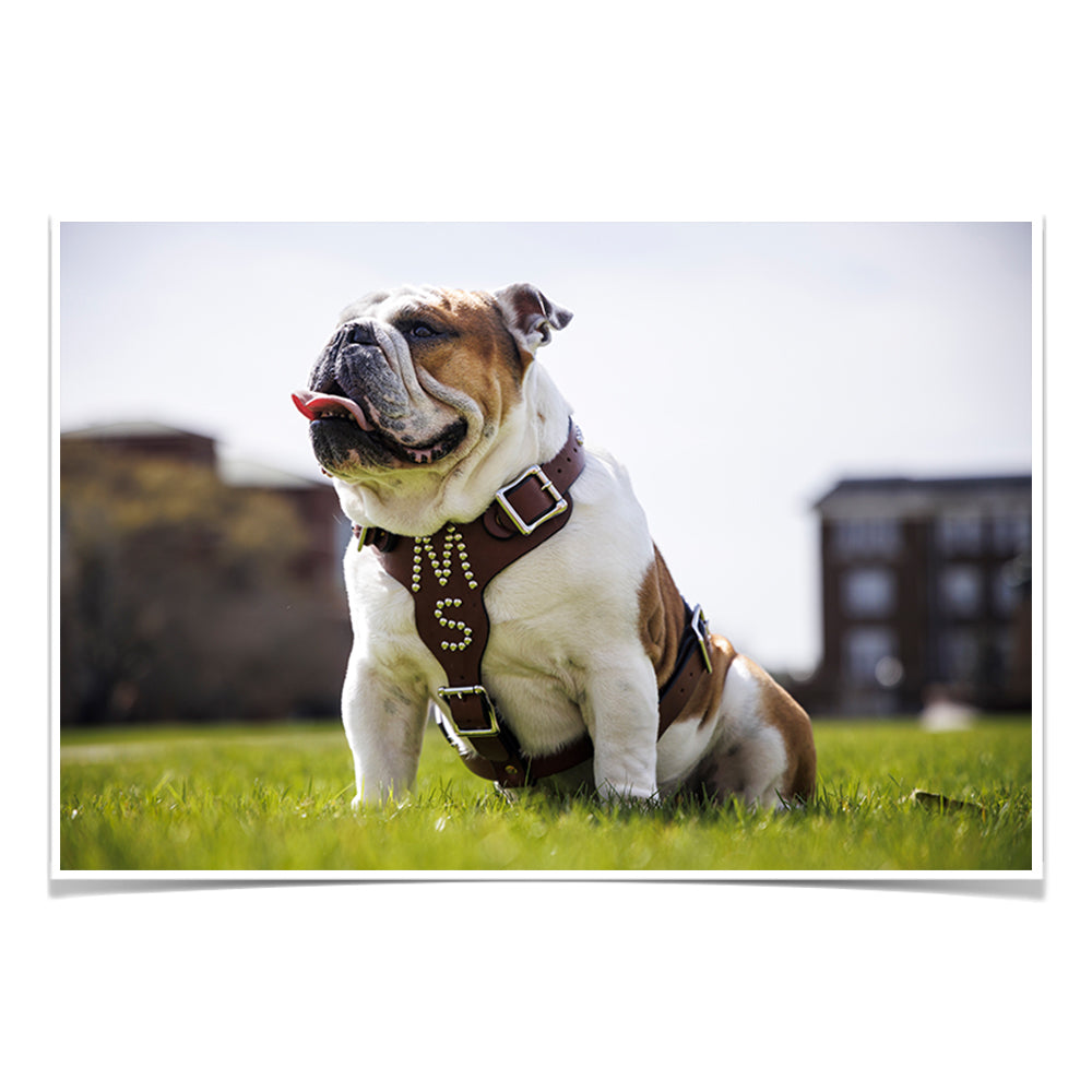 Mississippi State Bulldogs - Bully XXII Day - College Wall Art #Canvas