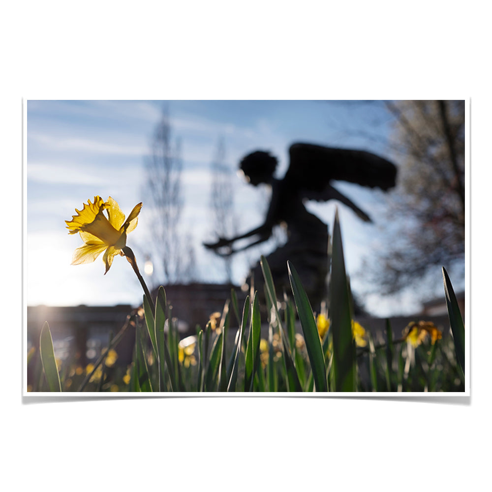 Mississippi State Bulldogs - Chapel Angel Daffodil - College Wall Art #Canvas