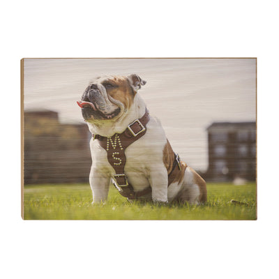 Mississippi State Bulldogs - Bully XXII Day - College Wall Art #Wood