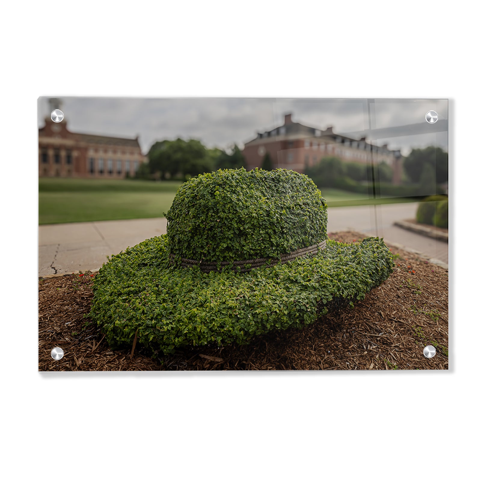 Oklahoma State Cowboys - Hat - College Wall Art #Canvas