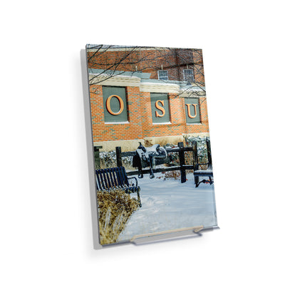 Oklahoma State Cowboys - Saddle in the Snow - College Wall Art #Acrylic Mini