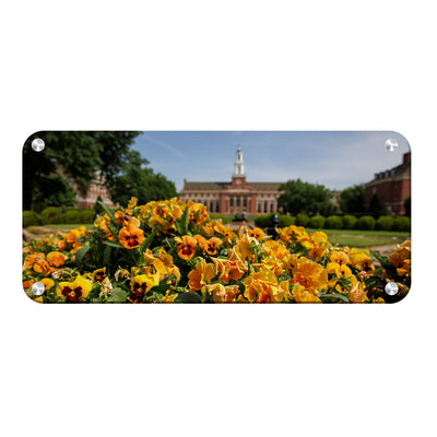 Oklahoma State Cowboys - Spring Flowers - College Wall Art #Metal