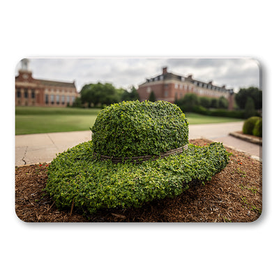 Oklahoma State Cowboys - Hat - College Wall Art #PVC