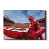 Rutgers Scarlet Knights - Scarlet Knight End Zone - College Wall Art #Canvas