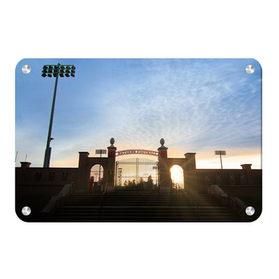 Rutgers Scarlet Knights - Rutgers Football - College Wall Art #Metal