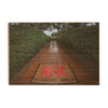 Rutgers Scarlet Knights - Scarlet Walk - College Wall Art #Wood