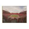 Rutgers Scarlet Knights - Rutgers SHI Stadium - College Wall Art #Wood