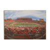 Rutgers Scarlet Knights - Fisheye SHI - College Wall Art #Wood