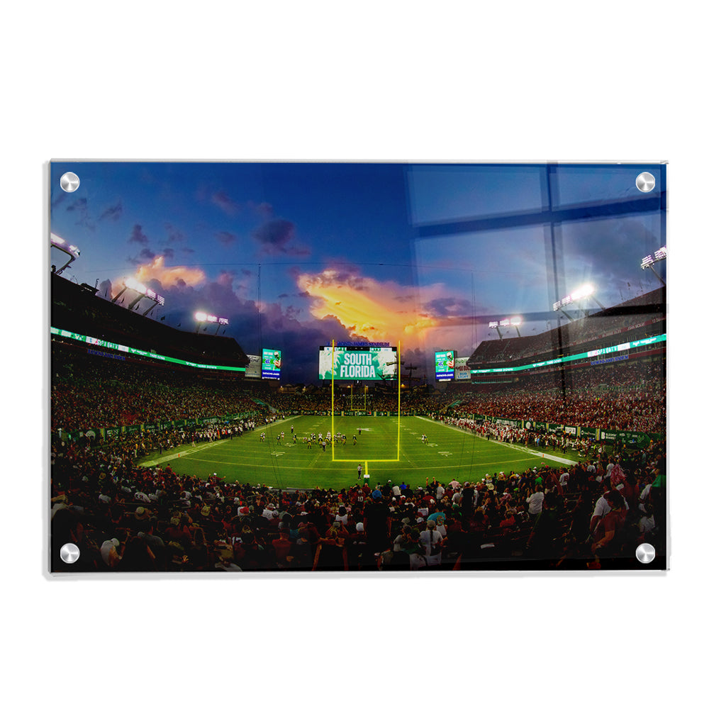 USF Bulls - South Florida Full House - College Wall Art #Canvas