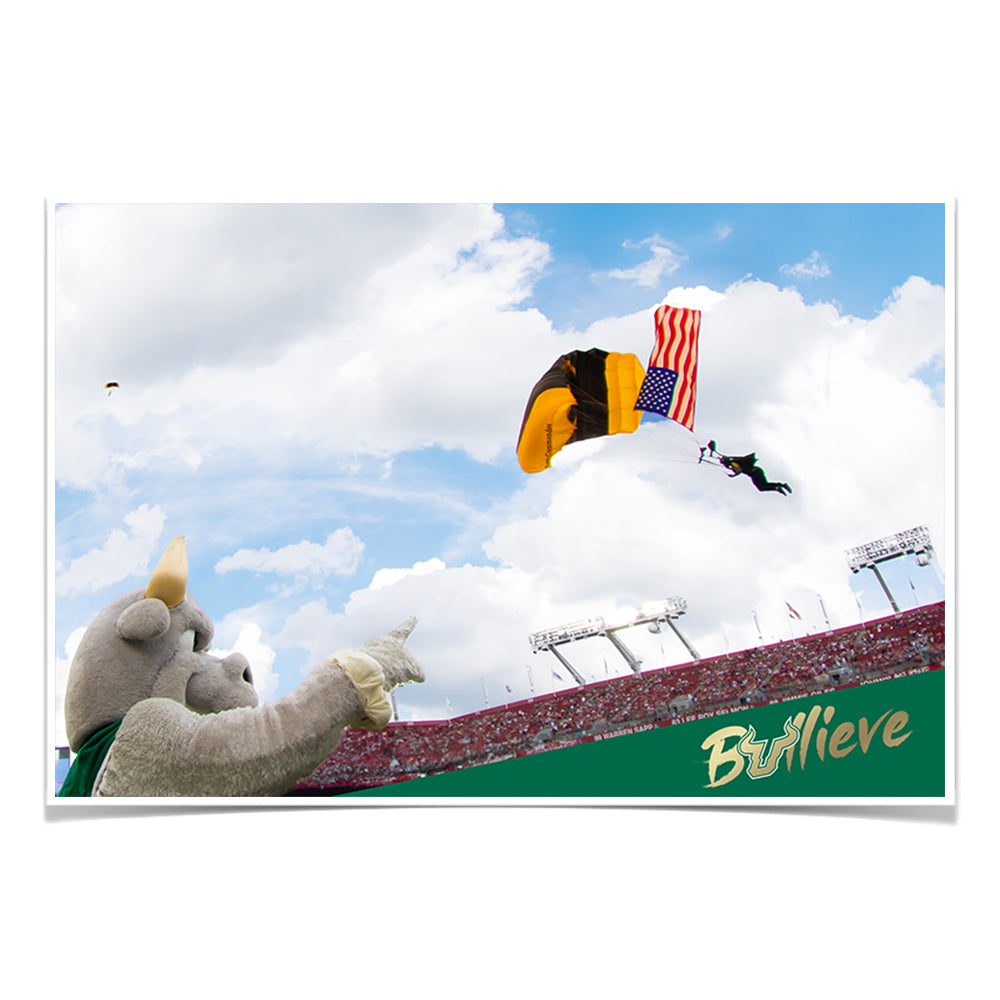 USF Bulls - Sky Diver - College Wall Art #Canvas