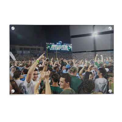 Tulane  Green Wave - Tulane Fans Storm the Field - College Wall Art #Acrylic