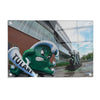 Tulane  Green Wave - Yulman Stadium - College Wall Art #Acrylic