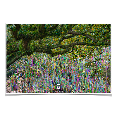 Tulane Green Wave - Bead Tree Under the Oaks - College Wall Art #Poster