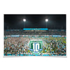 Tulane Green Wave - Yulman 10 Year American Conference Champions Storm the Field - College Wall Art #Poster