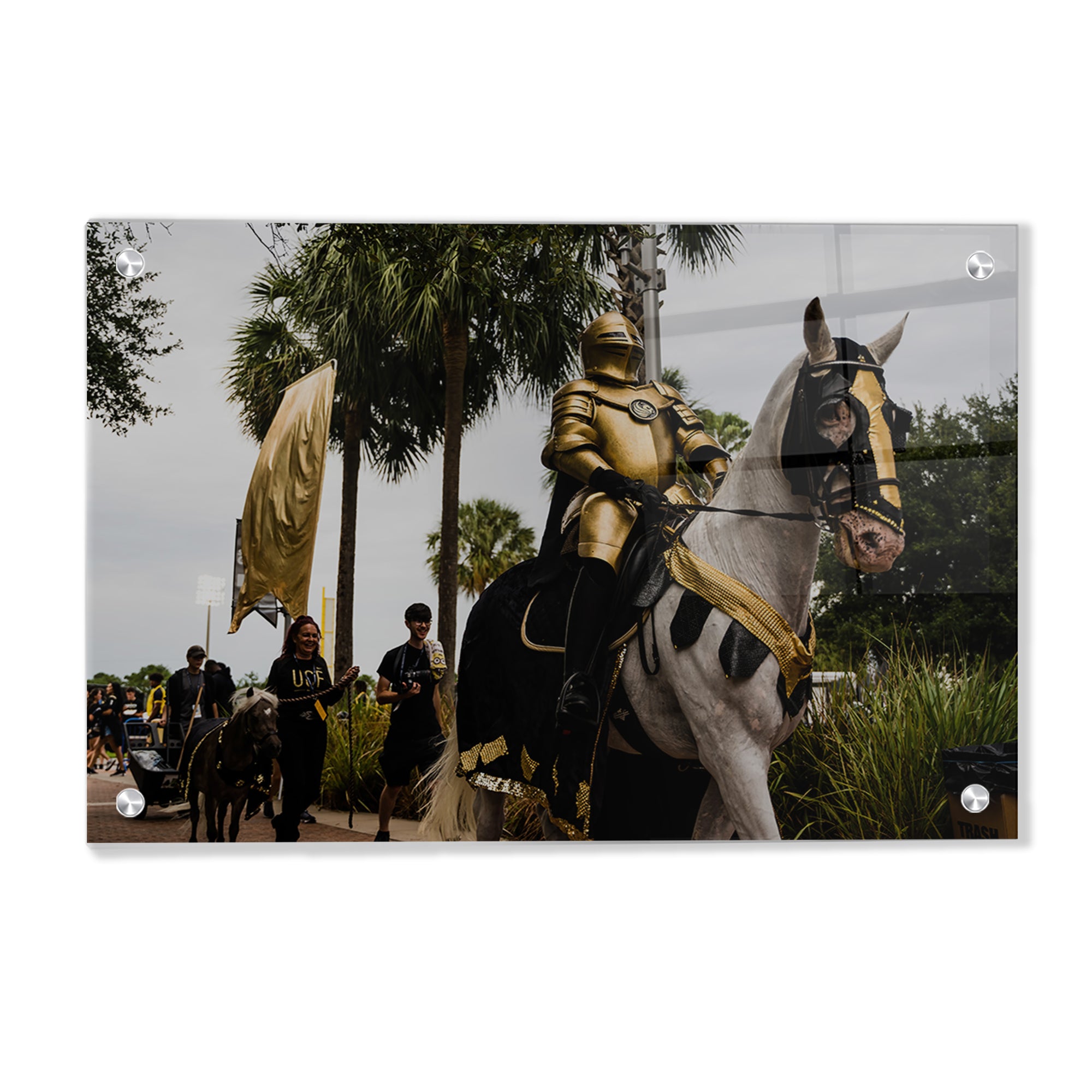 UCF Knights - UCF Knight - College Wall Art #Canvas 