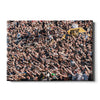 UCF Knights - Knightmare -  College Wall Art #Canvas