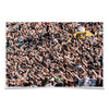 UCF Knights - Knightmare -  College Wall Art #Poster