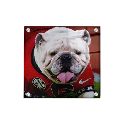Georgia Bulldogs - Boom Close Up - College Wall Art #Acrylic