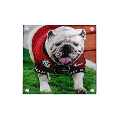 Georgia Bulldogs - Uga XI Boom - College Wall Art #Acrylic