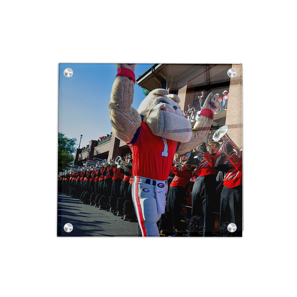 Georgia Bulldogs - Hairy Dawg Walk - College Wall Art #Canvas