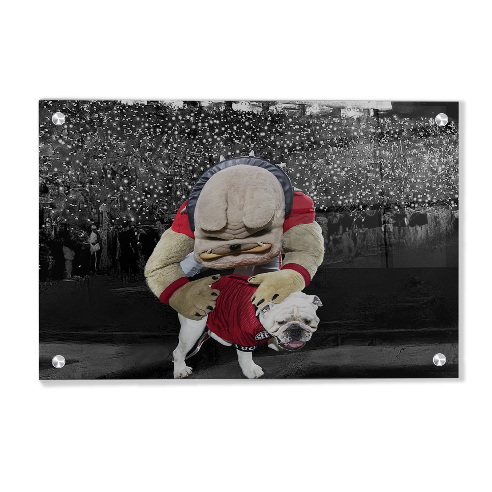 Boom and Hairy under the 4th Quarter Lights - College Wall Art #Canvas