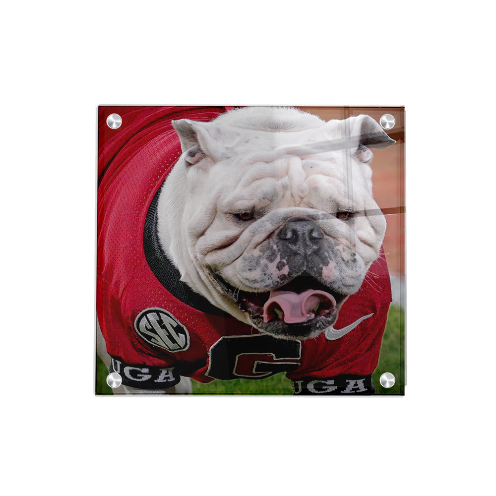 Georgia Bulldogs - Boom's Curled Tongue - College Wall Art #Canvas