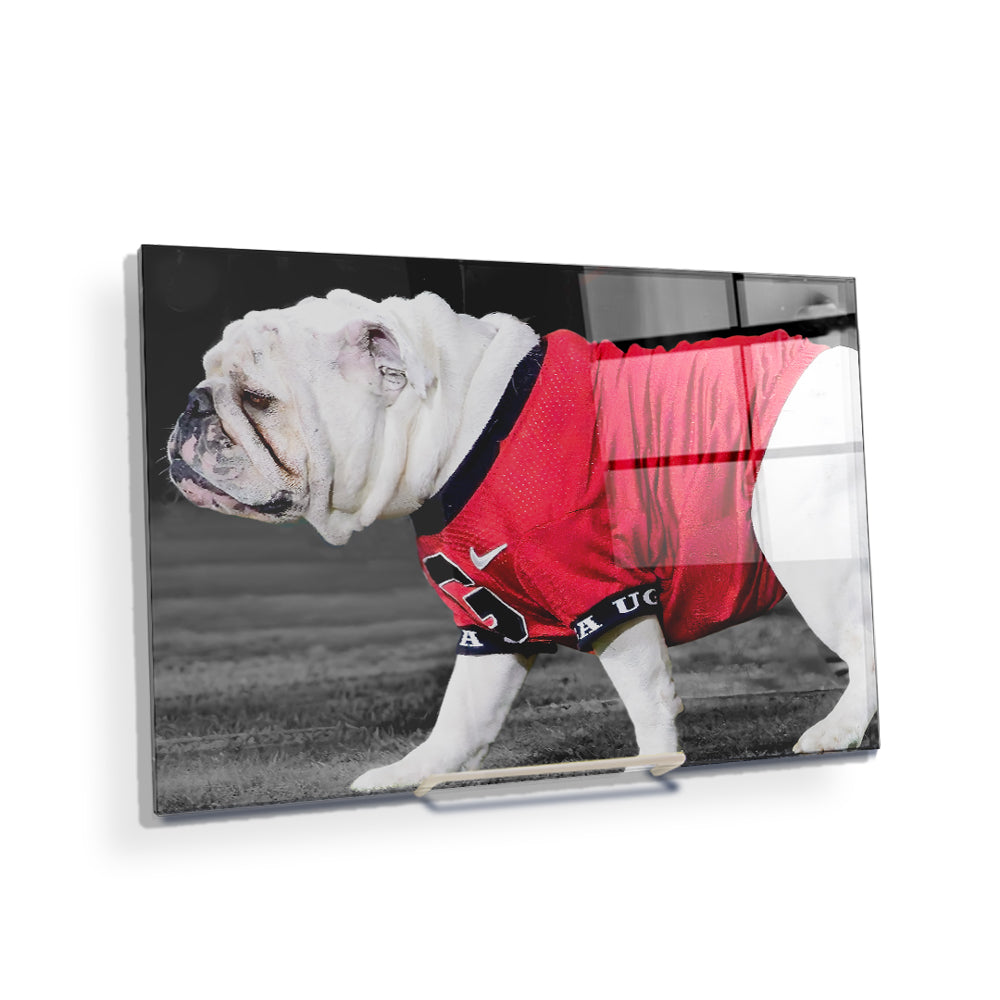 Georgia Bulldogs - Uga XI - College Wall Art #Canvas