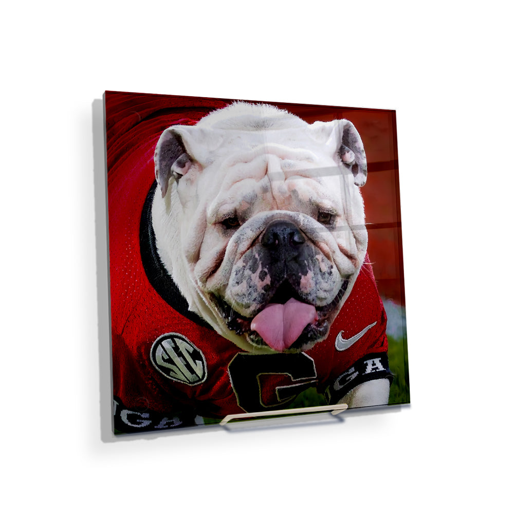   Georgia Bulldogs - Boom Close Up - College Wall Art #Canvas