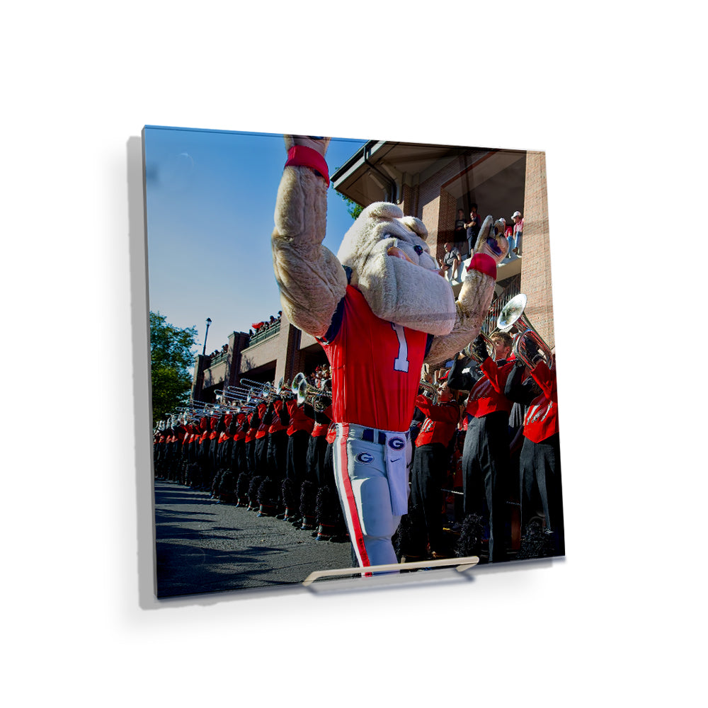 Georgia Bulldogs - Hairy Dawg Walk - College Wall Art #Canvas